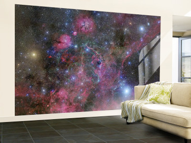 The Vela Supernova Remnant