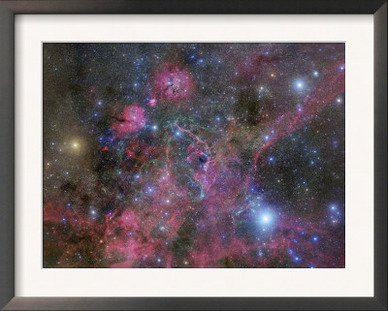 The Vela Supernova Remnant