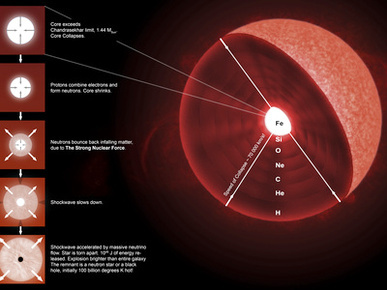 The Final Stages of the Life of a Massive Star, Which Will Go Supernova