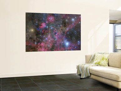 The Vela Supernova Remnant